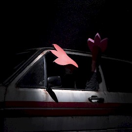 BIRDBOY | Photo: Luca Truffarelli